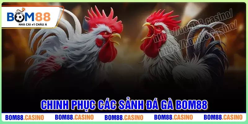 Chinh phục những trò chơi Đá Gà BOM88 siêu hấp dẫn